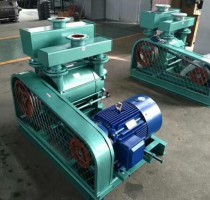 2BE水環真空(kōng)泵