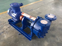 2BV水環式(shì)真空泵