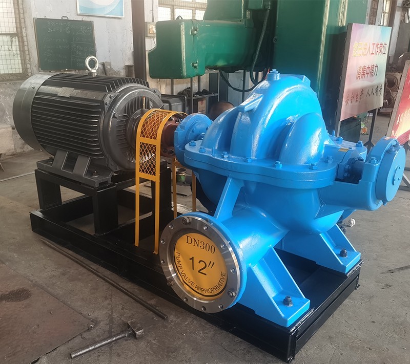 雙吸泵 雙吸(xī)泵